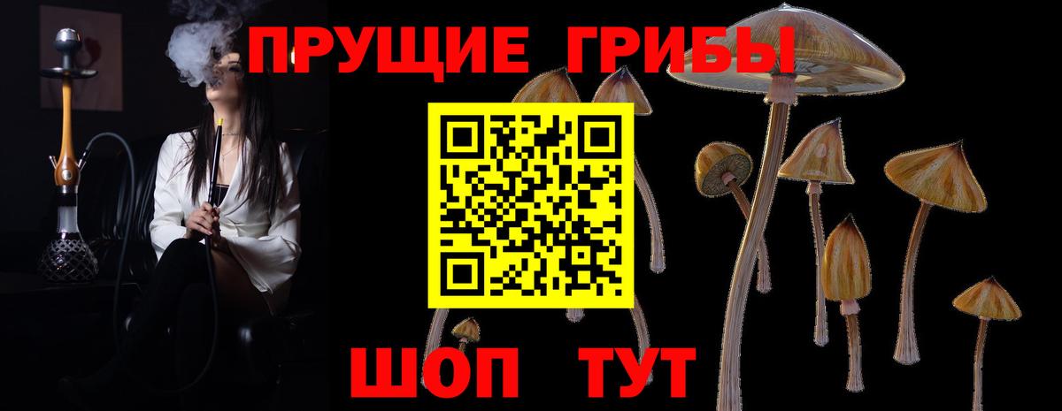 Галлюциногенные грибы ЛСД Ипатово